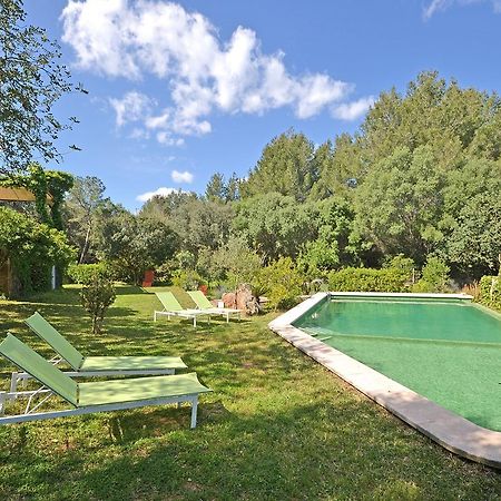 Villa Spiros Alcudia  Eksteriør billede