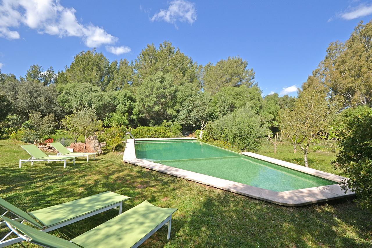 Villa Spiros Alcudia  Eksteriør billede