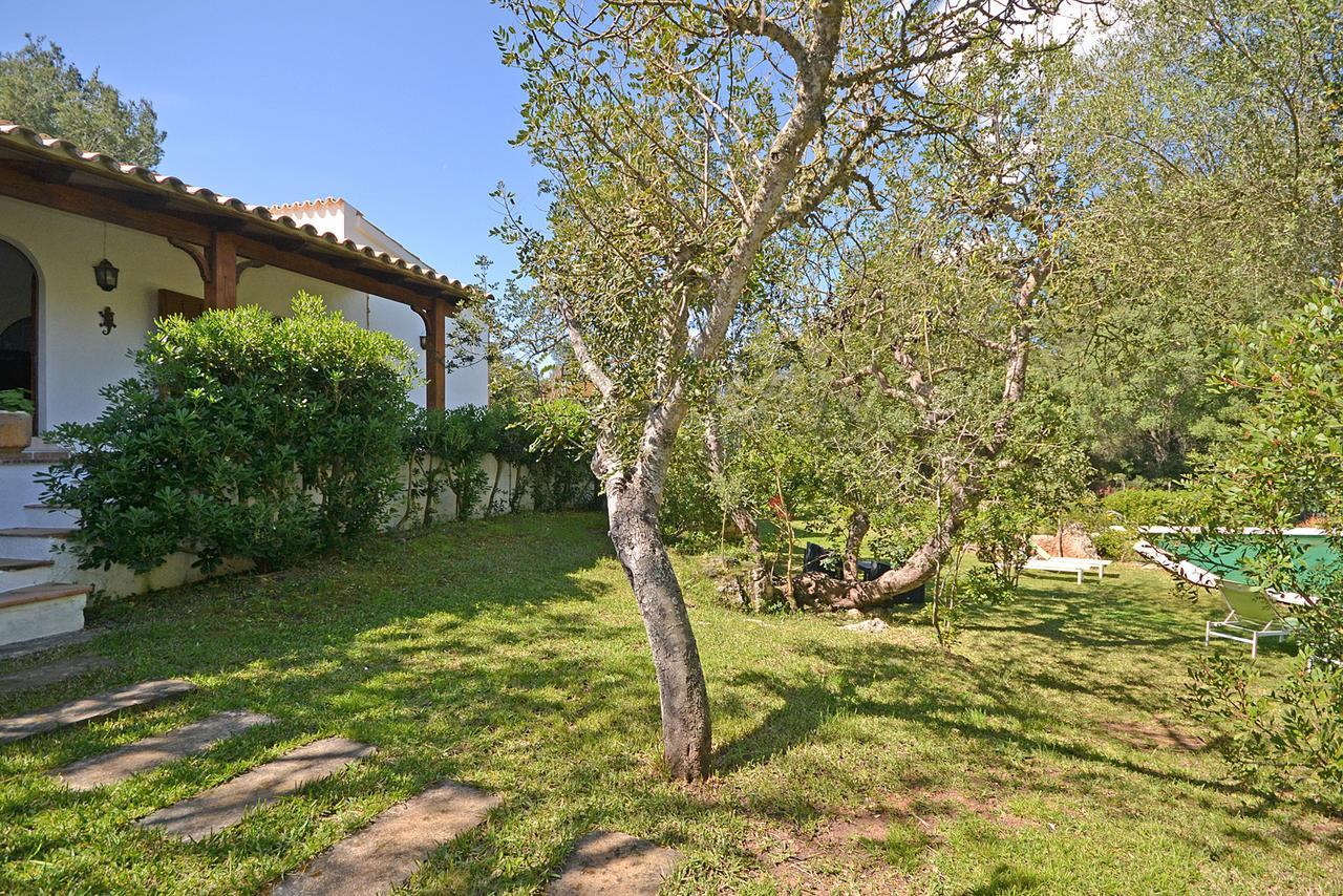 Villa Spiros Alcudia  Eksteriør billede